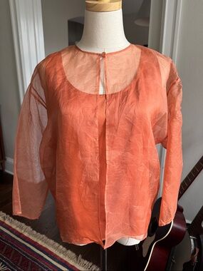 NWT Eileen Fisher Sheer Organza and silk Blouse set